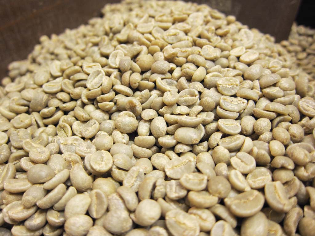 コーヒー豆の収穫から加工までについて
